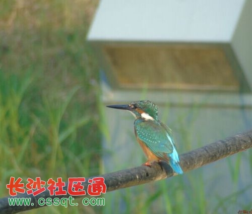 QQDƬ20160914152909